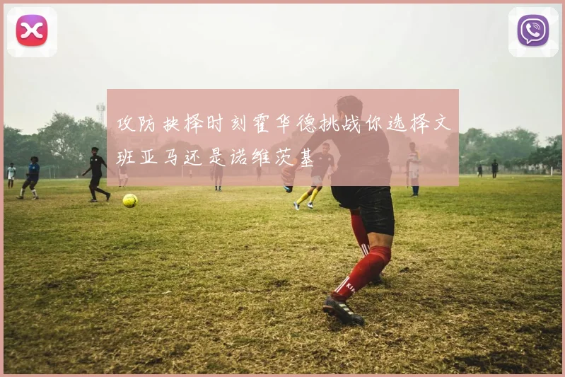 攻防抉择时刻霍华德挑战你选择文班亚马还是诺维茨基