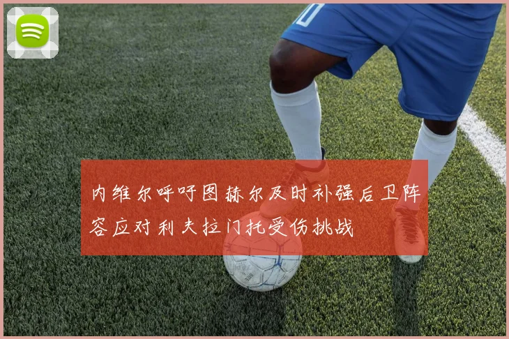 内维尔呼吁图赫尔及时补强后卫阵容应对利夫拉门托受伤挑战