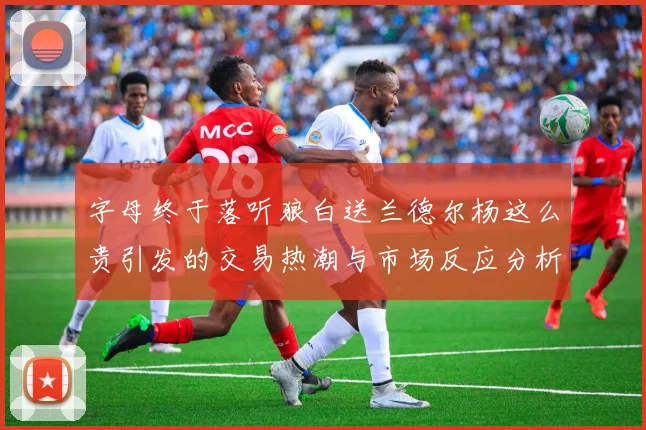 字母终于落听狼白送兰德尔杨这么贵引发的交易热潮与市场反应分析